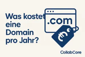 Was kostet eine Domain pro Jahr?